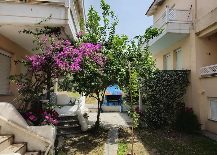 Antoaneta's